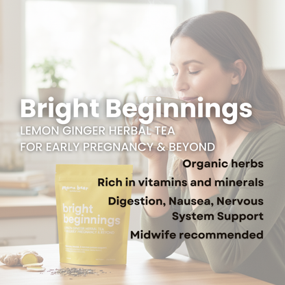 Bright Beginnings Lemon Ginger Herbal Tea - Organic